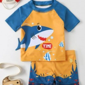 Toddler Boys Cartoon Graphic Beach Swimsuit