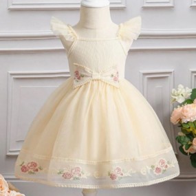 Baby Girl Floral Embroidery Ruffle Trim Mesh Overlay Dress