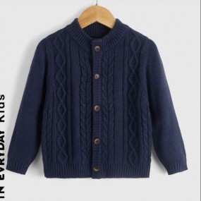 SHEIN Young Boy Cable Knit Cardigan