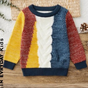 SHEIN Little Boys' Colorblock Long Sleeve Sweater