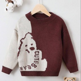 Young Boy Two Tone Bear & Letter Pattern Drop Shoulder Sweater